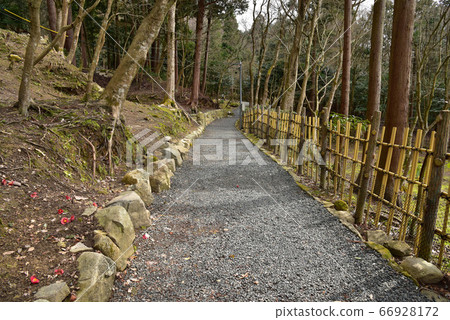 Scenery of Baekje Temple 66928172