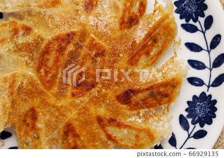 羽毛餃子的特寫照片 羽毛餃子的特寫照片 66929135