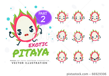 Vector set of cartoon images of Pitaya. Part 2 66929306
