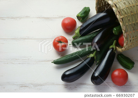 Summer vegetable harvest Summer vegetable harvest 66930207