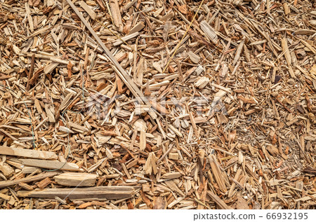 wooden and lumber sawdust 66932195