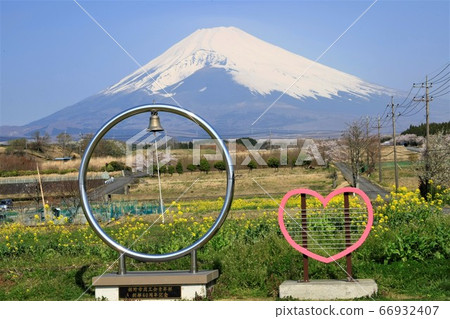 Su野花園的富士山 66932407