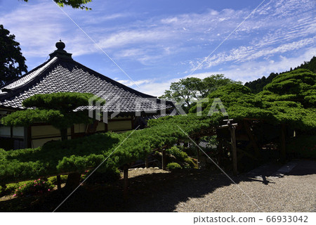 Yuryu no Matsu, Zenpoji Temple 66933042