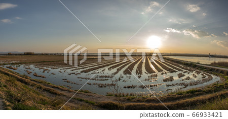 Flooded rice paddy and traditional Mediterranean Albufera Valencia, Spain Flooded rice paddy and traditional Mediterranean Albufera Valencia, Spain 66933421