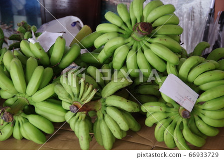 Bananas from Ogasawara sold at an event held at Takeshiba Pier 66933729