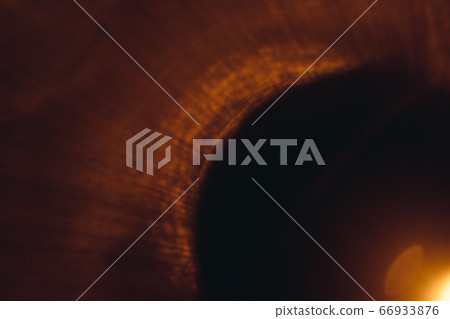 Abstract Natural Sun flare on the black 66933876