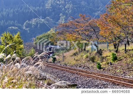 Watarase valley railway autumn leaves 66934088
