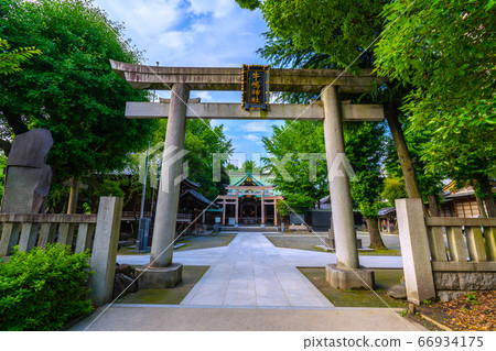 Tokyo cityscape in Japan, with views of Ushijima Shrine and cute sparrows (left of screen) 66934175