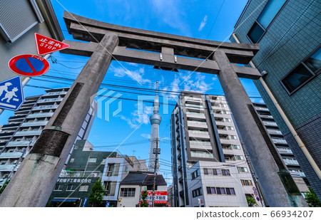 擁有牛島神社鳥居和東京晴空塔景觀的日本東京城市景觀 66934207