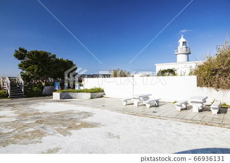 Jogashima Island in spring 66936131