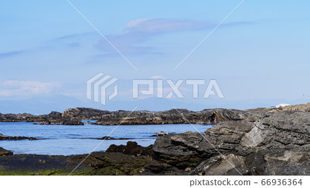 Jogashima Island in spring Jogashima Island in spring 66936364