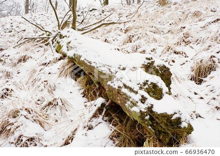 Deep melancholy. Fallen trunk on stony hill. Snowy Deep melancholy. Fallen trunk on stony hill. Snowy 66936470