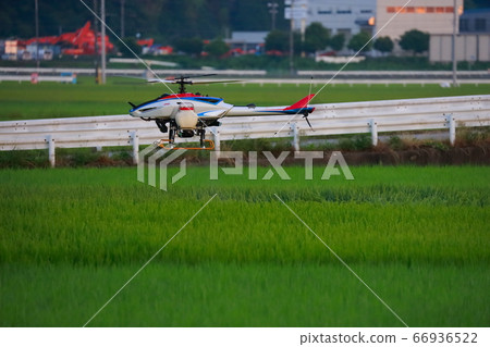 Radio-controlled helicopter drone that sprays pesticides 66936522