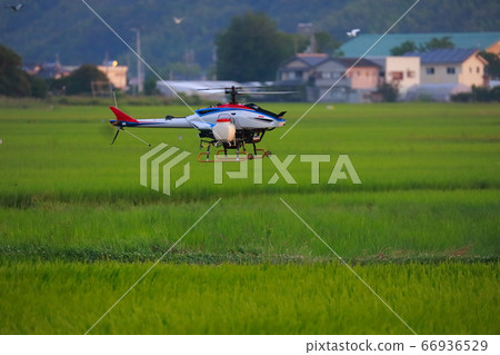 Radio-controlled helicopter drone that sprays pesticides 66936529