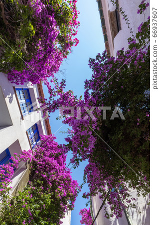 Detail of beautiful small town Cadaques in Costa Detail of beautiful small town Cadaques in Costa 66937607