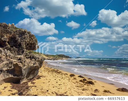 Coastline in Western Australia in springtime Coastline in Western Australia in springtime 66937613