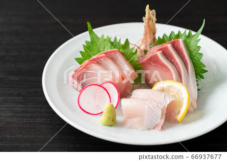 魚生魚片 66937677