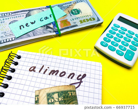Concept demonstrates the payment of alimony, money allocated for the child 66937715