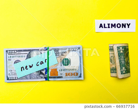Concept demonstrates the payment of alimony, money allocated for the child 66937716