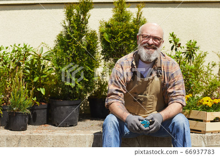 Smiling Senior gardener in Sunlight Smiling Senior gardener in Sunlight 66937783