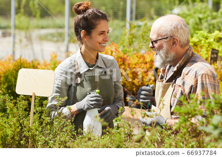 Two People Working in Sunlit Garden Two People Working in Sunlit Garden 66937784