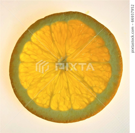 Fairytale orange slices Fairytale orange slices 66937952