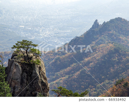 首爾市道峰區道峰洞道峰山秋 首爾市道峰區道峰洞道峰山秋 66938492