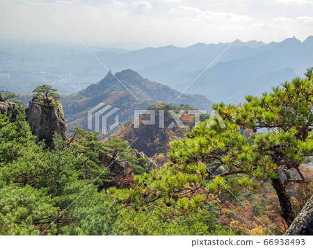首爾市道峰區道峰洞道峰山秋 首爾市道峰區道峰洞道峰山秋 66938493