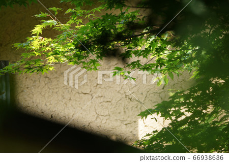 Tottori Four seasons walk Itaihara village Tottori Four seasons walk Itaihara village 66938686