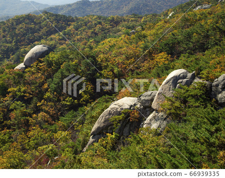 首爾市道峰區道峰洞道峰山的秋天 首爾市道峰區道峰洞道峰山的秋天 66939335
