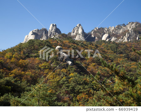 首爾市道峰區道峰洞道峰山秋 66939419