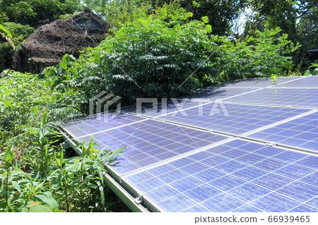 Solar power plant with overgrown weeds 66939465