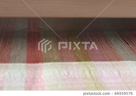 編織蘆葦 編織蘆葦 66939576