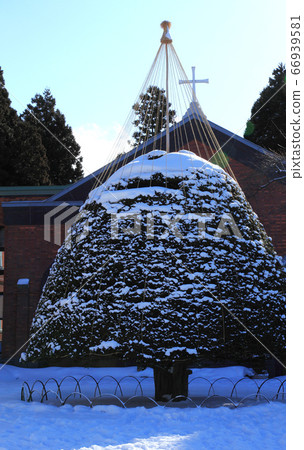 冬季的函館特拉彭斯汀修道院 66939581