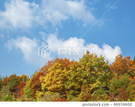 Autumn in Daeyasan, Chungjeong-myeon, Goesan-gun, Chungbuk, Korea 66939608