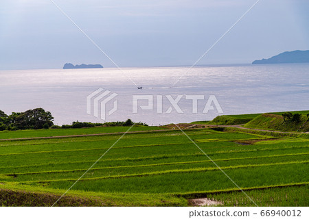 (Kyoto Prefecture) Rice terraces in Arai, Ine Town 66940012