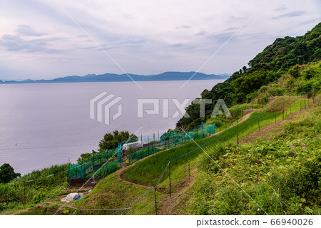 (Kyoto Prefecture) Rice terraces in Arai, Ine Town (Kyoto Prefecture) Rice terraces in Arai, Ine Town 66940026