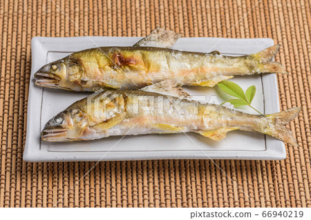 鹽烤三文魚 鹽烤三文魚 66940219