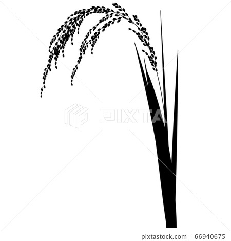 水稻水稻農業圖標 66940675