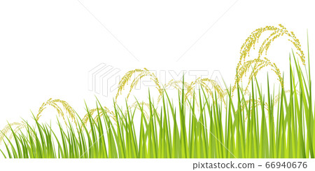 水稻水稻農業圖標 水稻水稻農業圖標 66940676
