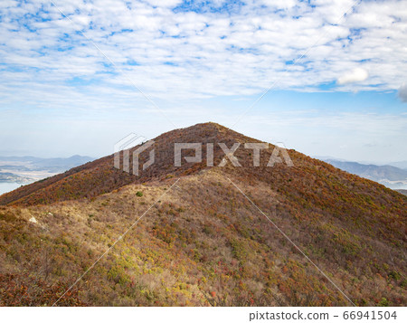 Autumn foliage in Payeongsan, Goheung-gun, Jeollanam-do, Korea 66941504