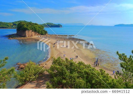 [Kagawa Prefecture] Shodoshima Angel Road 66941512