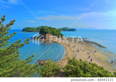[香川縣]小豆島天使路 66941515