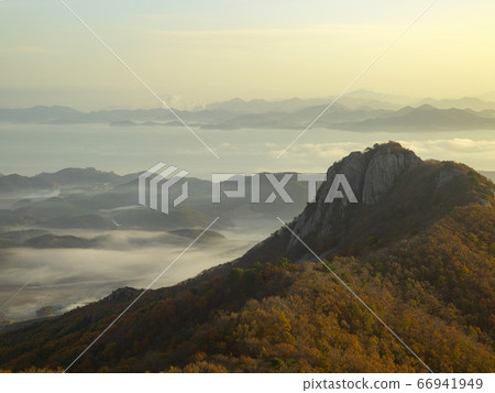 Autumn foliage in Payeongsan, Goheung-gun, Jeollanam-do, Korea Autumn foliage in Payeongsan, Goheung-gun, Jeollanam-do, Korea 66941949