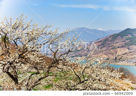 前津河前花村風景 66942009