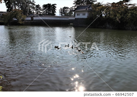 小田原城公園 66942507