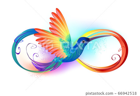 Rainbow Hummingbird with Infinity 66942518