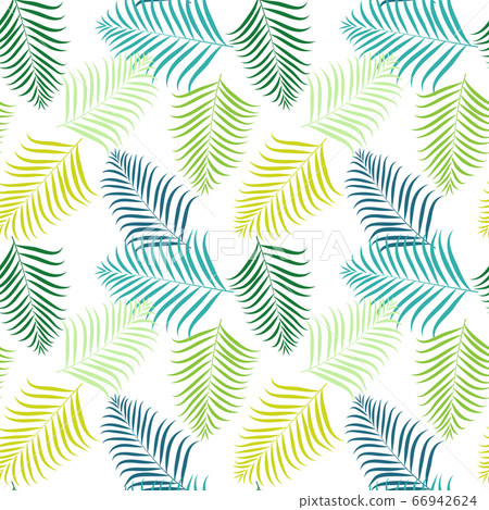 Tropical seamless pattern illustration material (areca palm) Tropical seamless pattern illustration material (areca palm) 66942624