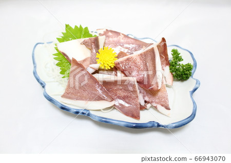 Squid of squid cuttlefish 66943070