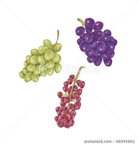 Grapes Grapes 66945662
